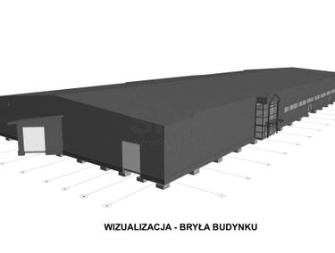 Zdjęcie 15449177