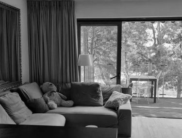 Zdjęcie 15449312