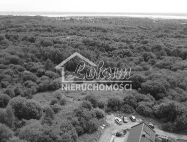 Zdjęcie 15449563