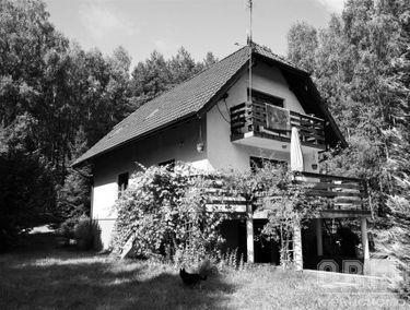 Zdjęcie 15449999