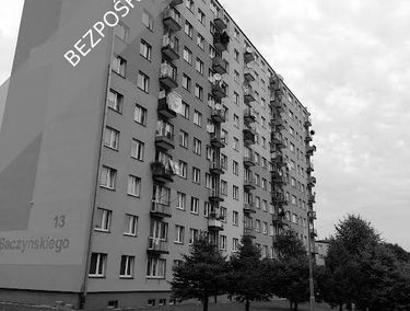 Zdjęcie 15450184