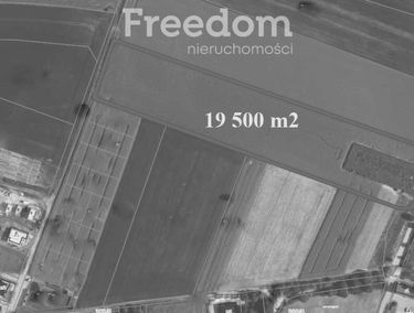 Zdjęcie 15451150