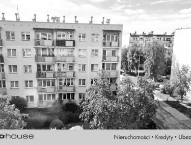 Zdjęcie 15451283