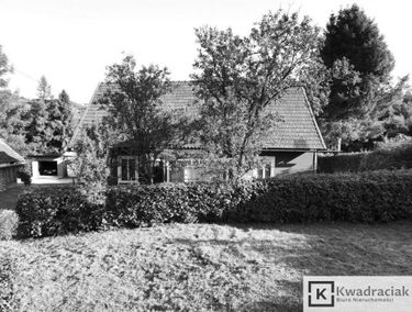 Zdjęcie 15451535