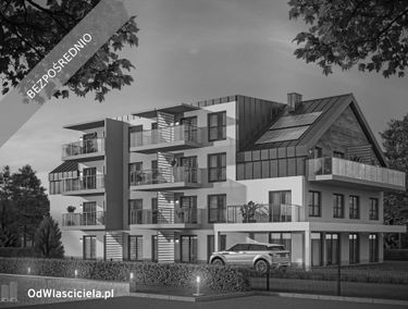 Zdjęcie 15451614
