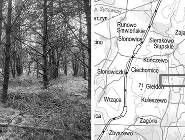 Zdjęcie 15452108