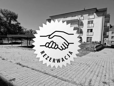 Zdjęcie 15452862