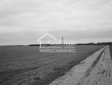 Zdjęcie 15453238