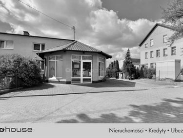 Zdjęcie 15453441