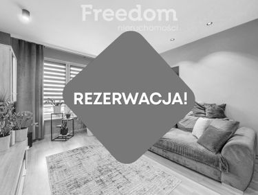 Zdjęcie 15453450