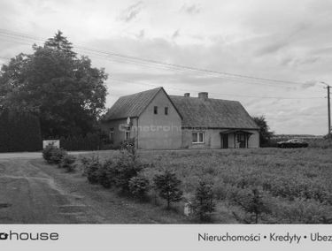 Zdjęcie 15453856