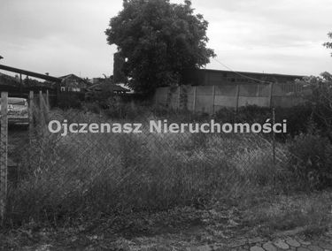 Zdjęcie 15454465