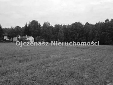 Zdjęcie 15454518