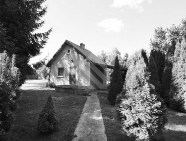 Zdjęcie 15455145
