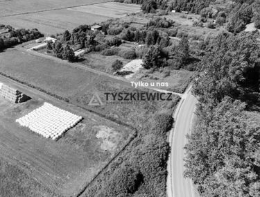 Zdjęcie 15455312