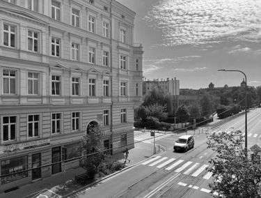 Zdjęcie 15455494