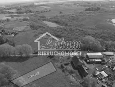 Zdjęcie 15455771
