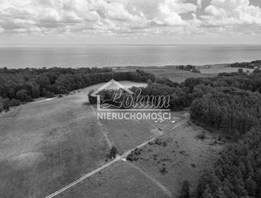 Zdjęcie 15455918