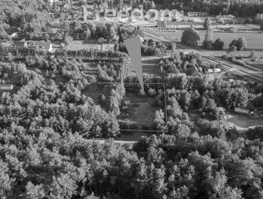 Zdjęcie 15456110