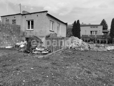 Zdjęcie 15456213