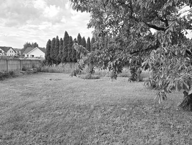 Zdjęcie 15456808