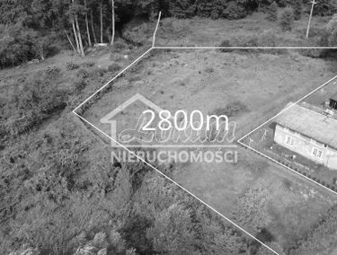 Zdjęcie 15459324