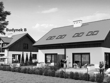 Zdjęcie 15459609