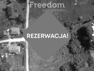 Zdjęcie 15461252