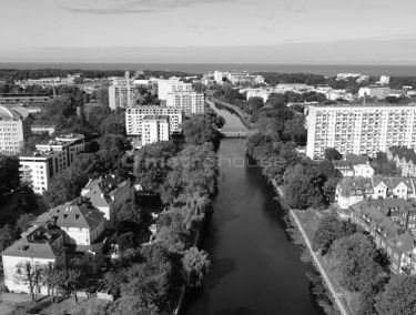 Zdjęcie 15461376