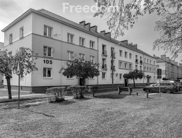 Zdjęcie 15461401