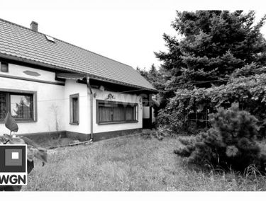 Zdjęcie 15462368