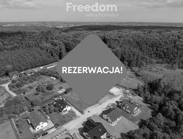Zdjęcie 15463504