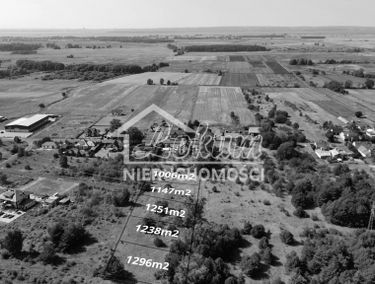 Zdjęcie 15463712