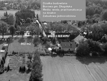 Zdjęcie 15464927