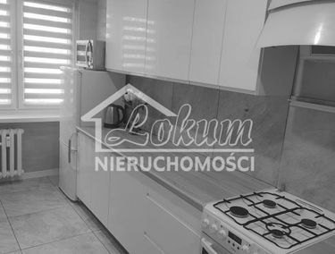 Zdjęcie 15464952