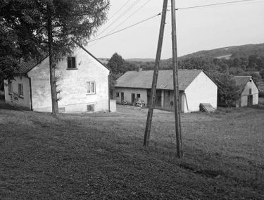 Zdjęcie 15465209