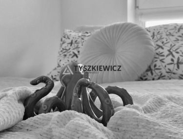 Zdjęcie 15465249