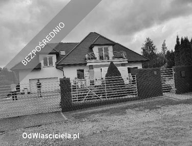 Zdjęcie 15465928