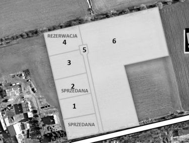 Zdjęcie 15465949