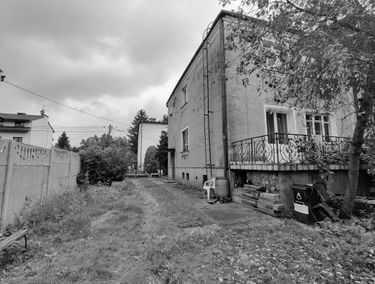 Zdjęcie 15466183