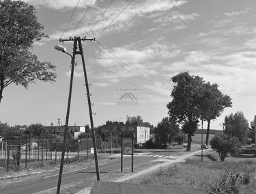 Zdjęcie 15466194