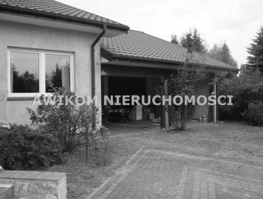 Zdjęcie 15466355