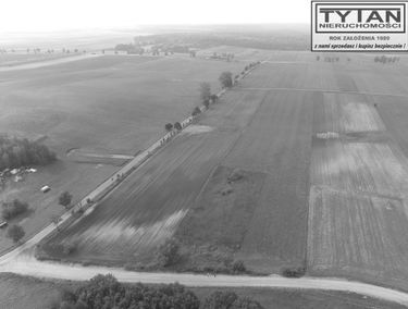 Zdjęcie 15466724