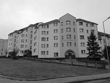 Zdjęcie 15466963