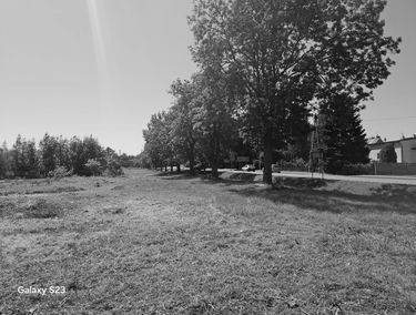 Zdjęcie 15467149
