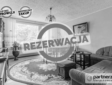 Zdjęcie 15468726