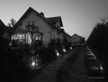 Zdjęcie 15470150