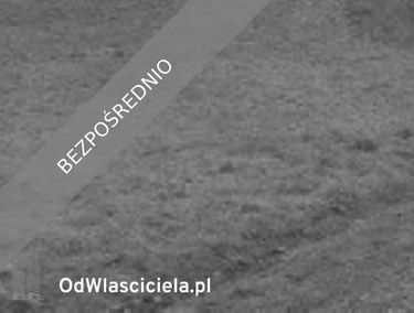 Zdjęcie 15471164