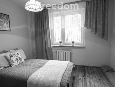 Zdjęcie 15471258