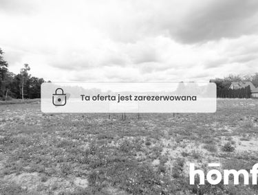 Zdjęcie 15471552